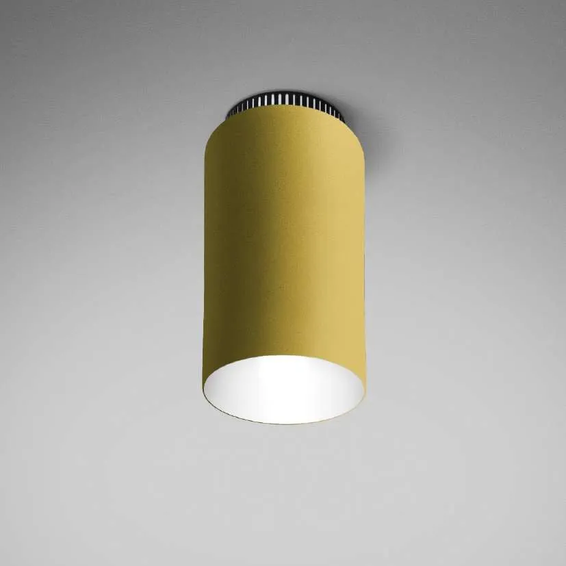 Aspen C17 Flush Mount