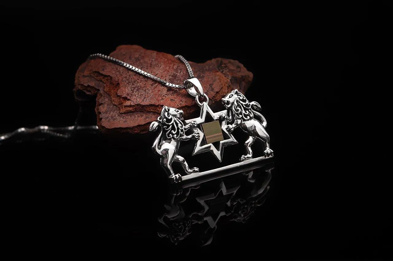 Lion of Judah and Magen David with Jerusalem Nano Bible Torah Pendant Necklace Silver 925