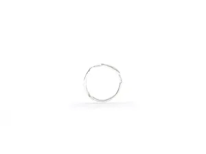 Natalie Marie Organic Band, Silver