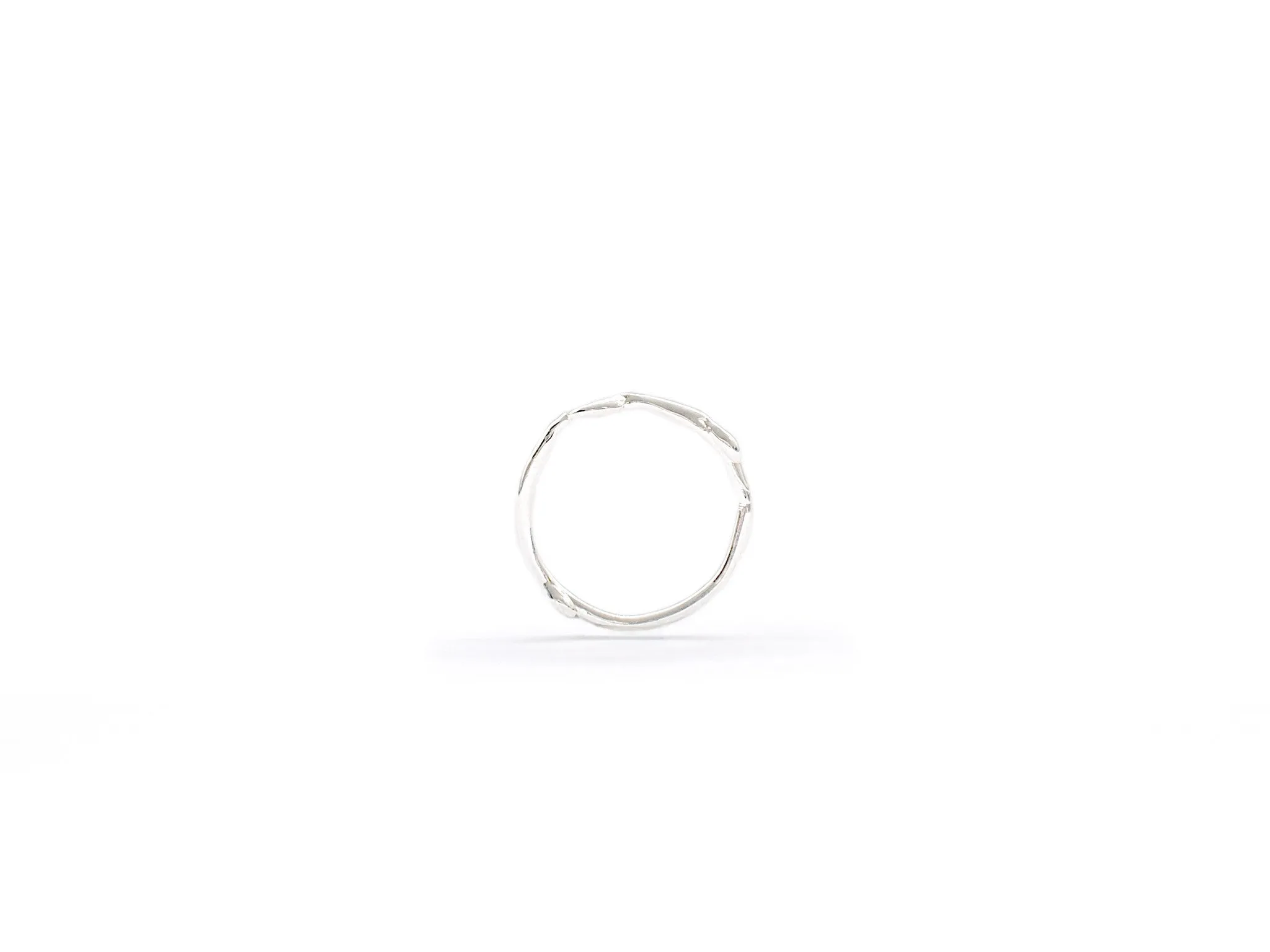 Natalie Marie Organic Band, Silver