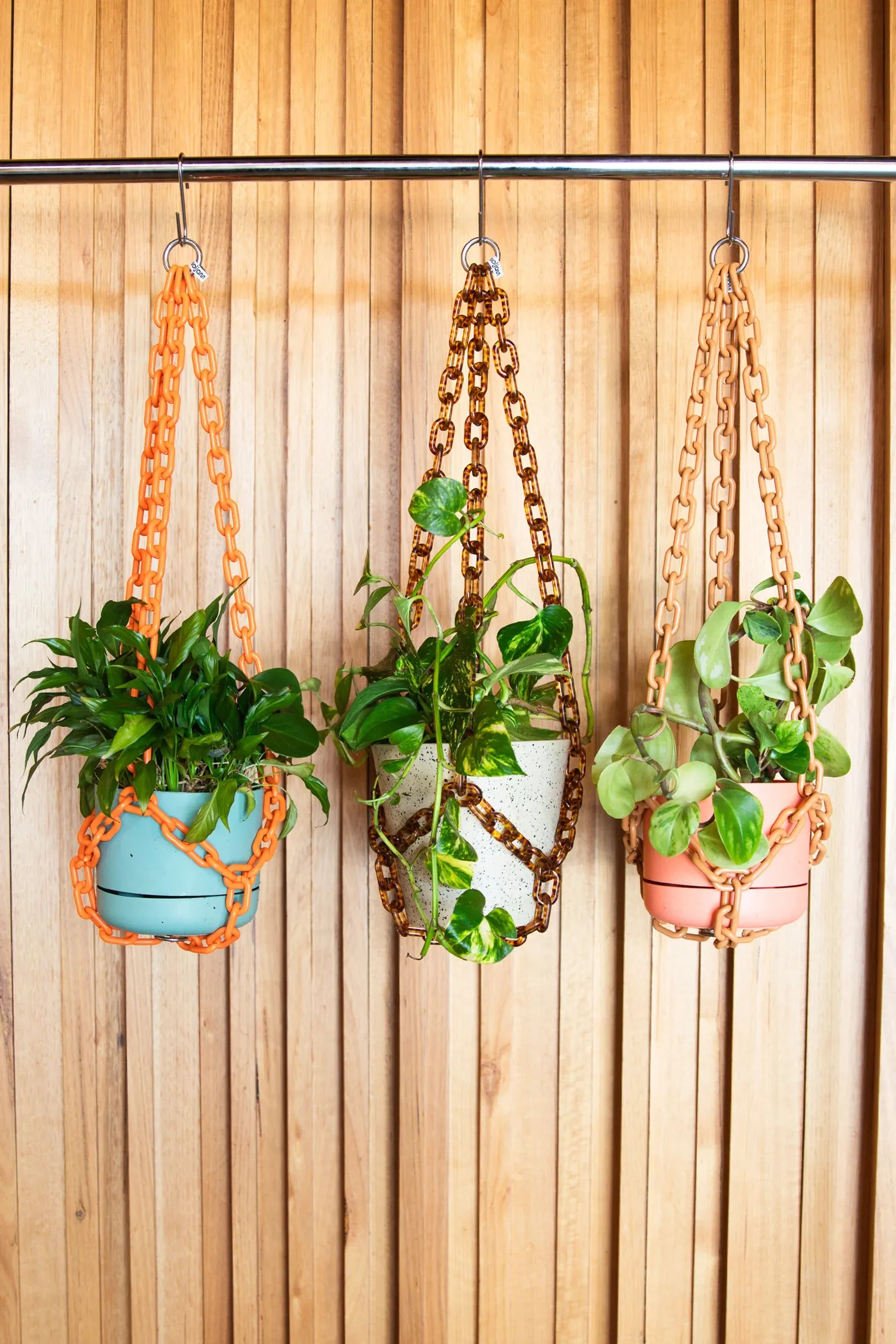 WOLJAM - UNIVERSAL PLANT HANGER - TORTOISE